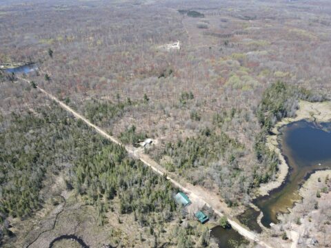 Hunting Land For Sale In Clare County 60 Acres | Property ID: 23535