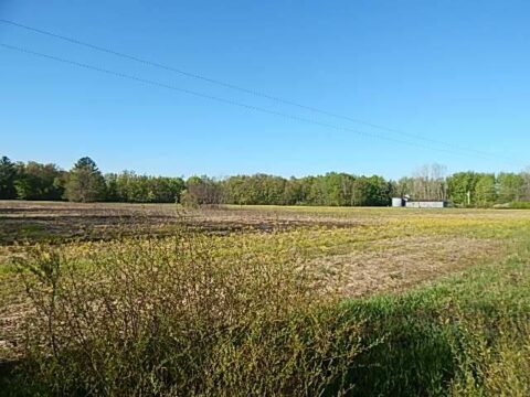 Hunting Land For Sale In Van Buren County 80 Acres | Property ID: 23529