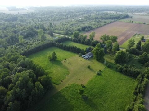 Recreational Land For Sale In Sanilac County 20 Acres | Property ID: 23539