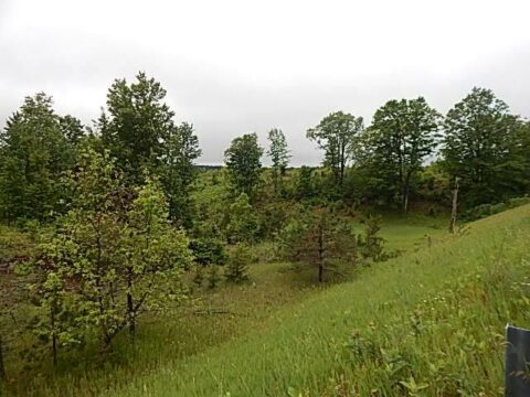 Hunting Land For Sale In Wexford County 82.87 Acres | Property ID: 23541