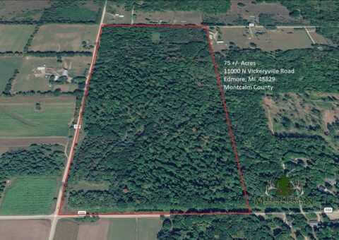 Hunting Land For Sale In Montcalm County 75 Acres | Property ID: 23547