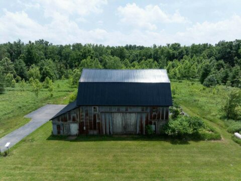 Hunting Land For Sale In Calhoun County 60 Acres | Property ID: 23548
