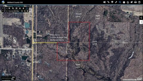 Hunting Land For Sale In Midland County 97 Acres | Property ID: 23553
