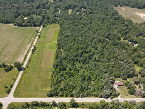 Hunting Land For Sale In Tuscola County 24.4 Acres | Property ID: 23552