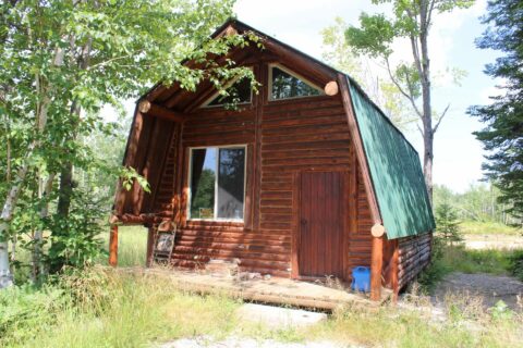 Hunting Land For Sale In Cheboygan County 232.72 Acres | Property ID: 23559
