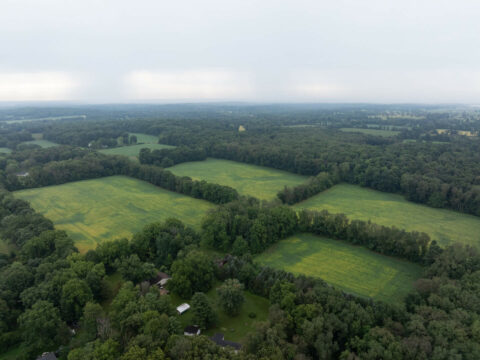 Hunting Land For Sale In Calhoun County 105.38 Acres | Property ID: 23561