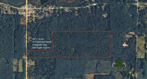 Hunting Land For Sale In Montcalm County 90 Acres | Property ID: 23567