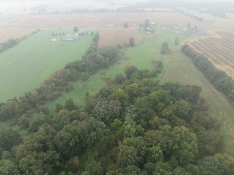 Hunting Land For Sale In Hillsdale County 35 Acres | Property ID: 23569