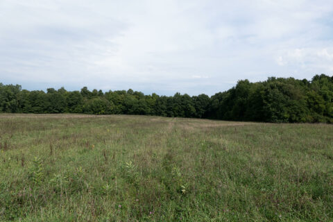 Hunting Land For Sale In Hillsdale County 90 Acres | Property ID: 23560