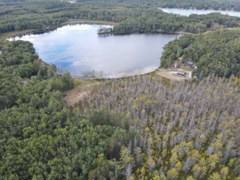 Hunting Land For Sale In Montmorency County 9.84 Acres | Property ID: 23573