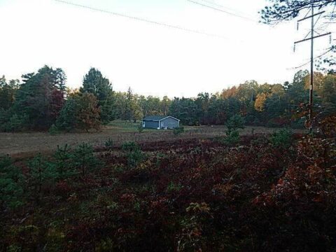Hunting Land For Sale In Osceola County 40 Acres | Property ID: 23577