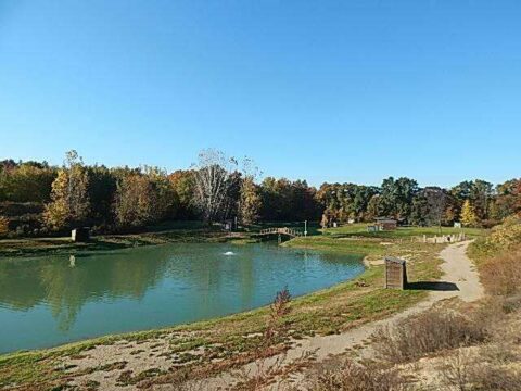 Hunting Land For Sale In Hillsdale County 49 Acres | Property ID: 23583